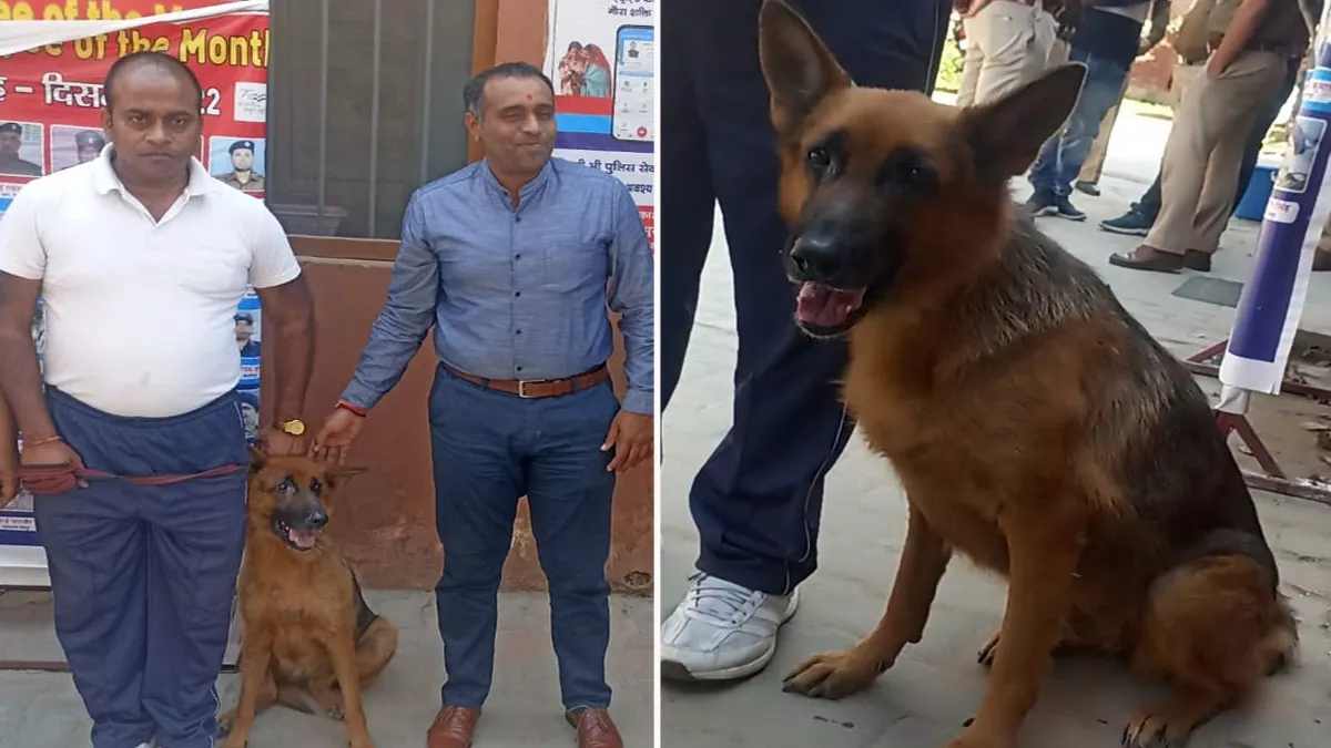 उत्‍तराखंड पुलिस की स्नीफर डॉग कैटी बनी पुलिसमैन आफ द मंथ, कुछ सेकेंड में सुलझाई मर्डर मिस्ट्री