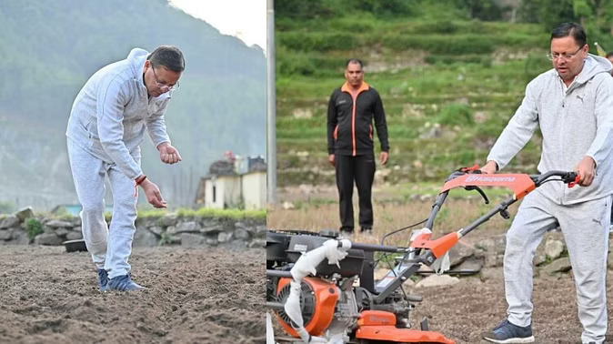 उत्तरकाशी में मंडुआ की बुआई करते नजर आए सीएम धामी, चौंके ग्रामीण