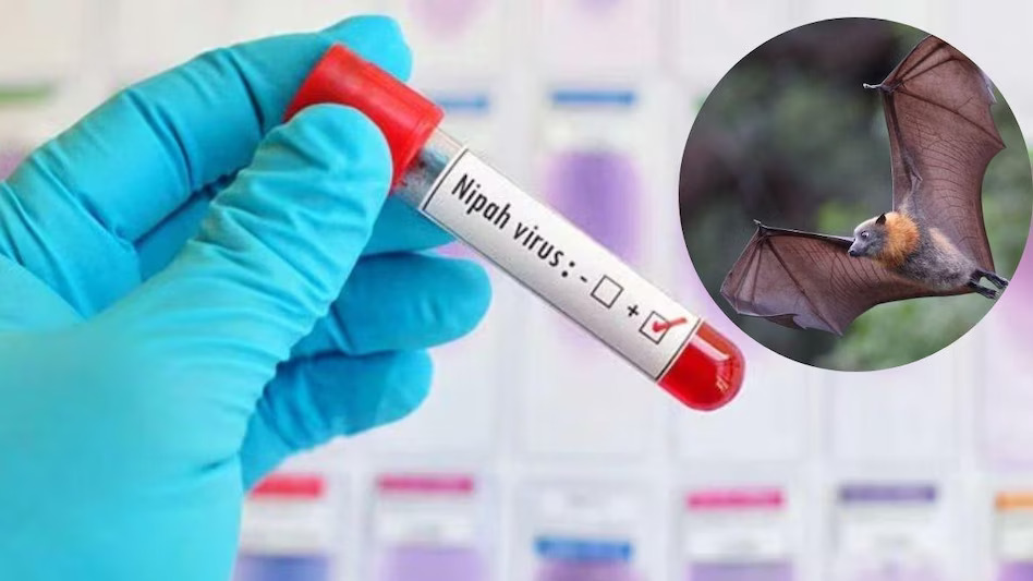केरल में निपाह वायरसे दो मौत; अलर्ट मोड पर सरकार