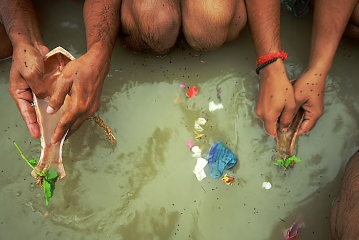 Shradh Paksh 2023: श्राद्ध पक्ष में न करें ये काम, जानें पितृ-पक्ष का विशेष महत्व