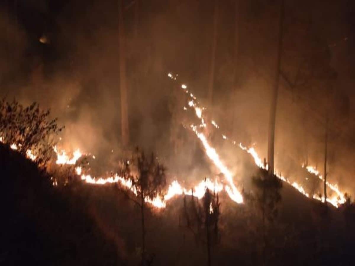 वनाग्नि ने उतराखण्ड में मचाया कोहराम, 24 घंंटे में 54 स्थानों पर धधके जंगल; टूटा रिकॉर्ड