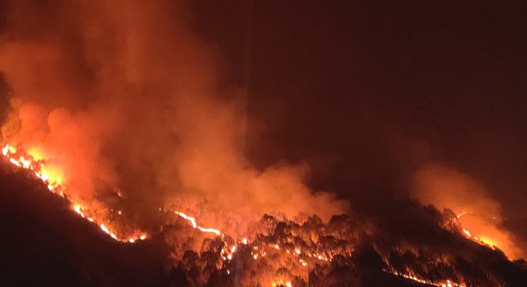 Uttarakhand Forest Fire: 24 घंटे में 64 जगह धधके जंगल, दो की मौत, अब तक 1,086 हेक्टेयर जंगल खाक