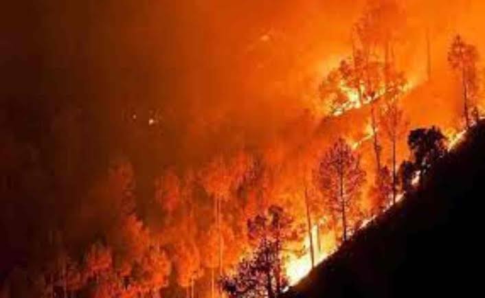 Uttarakhand Forest Fire: आग धधकने का सिलसिला जारी, इस फायर सीजन में 1121 घटनाओं में इतने हेक्टेयर जंगल जले