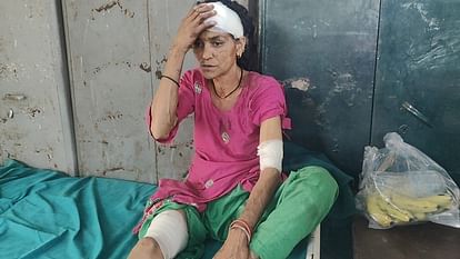 गुलदार हमला करने के लिए झपटा तो महिला ने दिखाया साहस, ऐसे बचाई अपनी जान