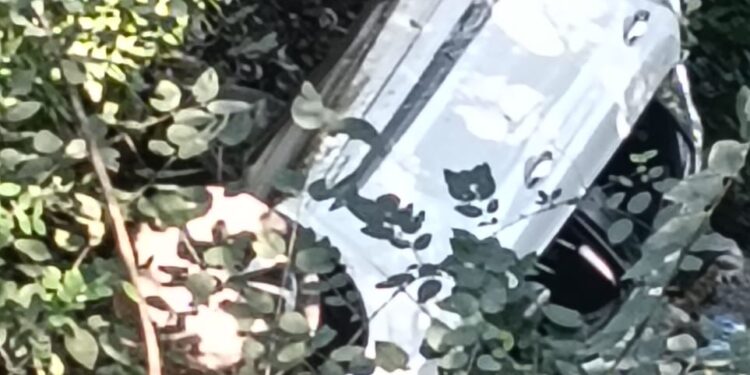 दिल्ली के यात्रियों की कार खाई में गिरी, चार घायल