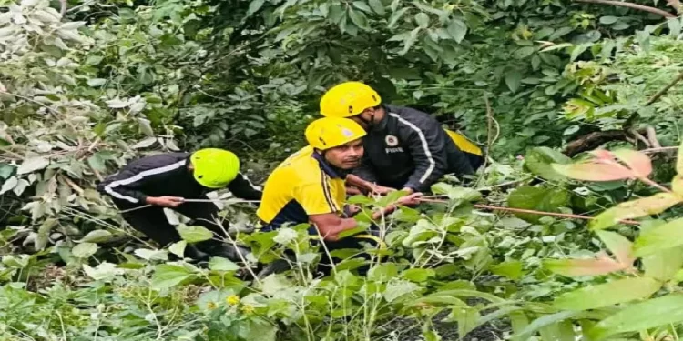 मसूरी से लौटते वक्त खाई में गिरी कार, नोएडा के 2 लोगों की मौत, 4 घायल