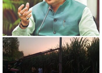किसान ने ट्यूबवेल हेतु बिजली का खंभा लगवाने का किया था अनुरोध, मुख्यमंत्री के निर्देश पर तत्काल हुआ किसान की समस्या का समाधान