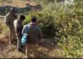 पौड़ी-गुलदार के शावक का शव मिलने पर गांव में मचा हड़कंप