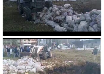 कस्टम विभाग ने पकड़े 12000 किलो चाइनीज लहसन