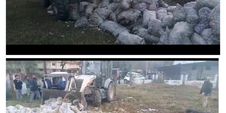 कस्टम विभाग ने पकड़े 12000 किलो चाइनीज लहसन