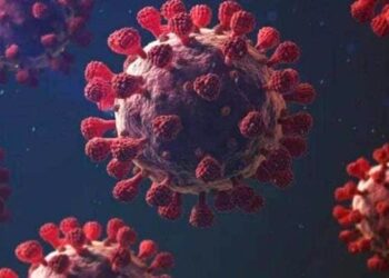 देश में फिर बढ़ने लगे कोविड के मामले, उत्तराखंड में भी दो नए केस मिले स्वास्थ्य विभाग ने सभी जिलों को अलर्ट पर रखा, सैंपलिंग और बेड की तैयारी तेज