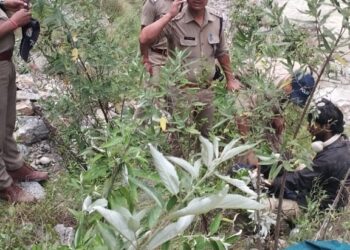 बदरीनाथ हाईवे पर बड़ा हादसा: खाई में गिरने से दो तीर्थयात्रियों की मौत