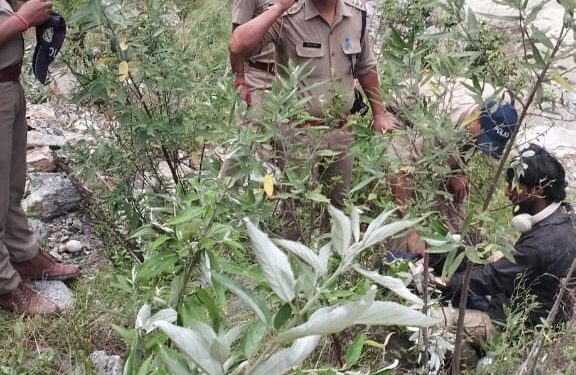 बदरीनाथ हाईवे पर बड़ा हादसा: खाई में गिरने से दो तीर्थयात्रियों की मौत