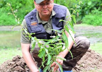 कार्बेट नेशनल पार्क में सीएम धामी ने किया जंगल सफारी का अनुभव, ‘एक पेड़ माँ के नाम’ अभियान के तहत हुआ 1000 से अधिक पौधारोपण