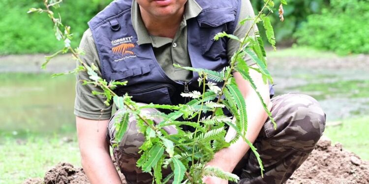 कार्बेट नेशनल पार्क में सीएम धामी ने किया जंगल सफारी का अनुभव, ‘एक पेड़ माँ के नाम’ अभियान के तहत हुआ 1000 से अधिक पौधारोपण