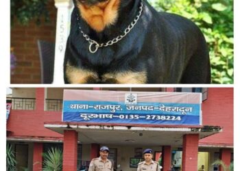 राजपुर में बुजुर्ग महिला पर खतरनाक नस्ल के कुत्तों का हमला, मालिक हिरासत में — बिना लाइसेंस कुत्ते पालने वालों पर अब सख्त कार्रवाई