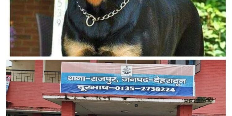 राजपुर में बुजुर्ग महिला पर खतरनाक नस्ल के कुत्तों का हमला, मालिक हिरासत में — बिना लाइसेंस कुत्ते पालने वालों पर अब सख्त कार्रवाई