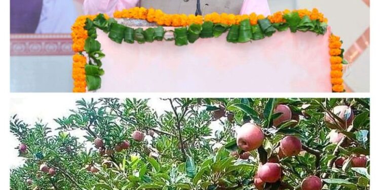 राज्य के सेब उत्पादक किसानों को सेब की बेहतर पैकेजिंग के लिये कार्टन का वितरण हुआ प्रारम्भ