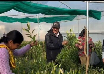 आत्मनिर्भर उत्तराखण्ड का सपना हो रहा साकार,पौड़ी की मातृशक्ति ने लिलियम की खुशबू से गढ़ी नई पहचान- सीएम धामी