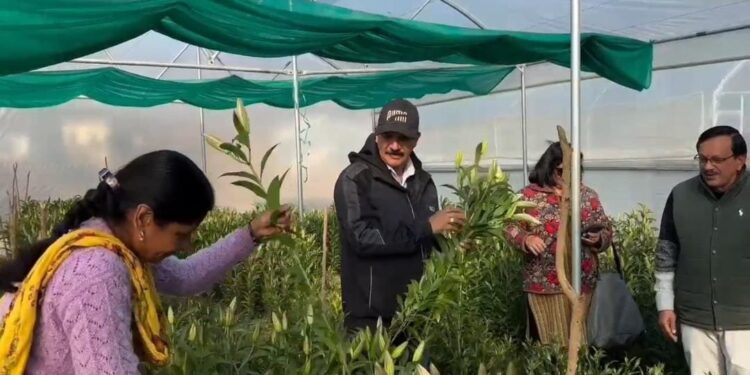 आत्मनिर्भर उत्तराखण्ड का सपना हो रहा साकार,पौड़ी की मातृशक्ति ने लिलियम की खुशबू से गढ़ी नई पहचान- सीएम धामी