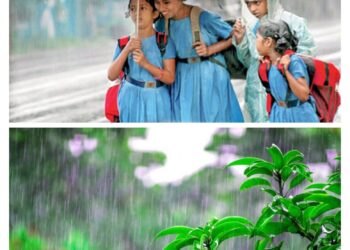 उत्तराखंड में बारिश का अलर्ट, इन जिलों में आज बंद रहेंगे स्कूल