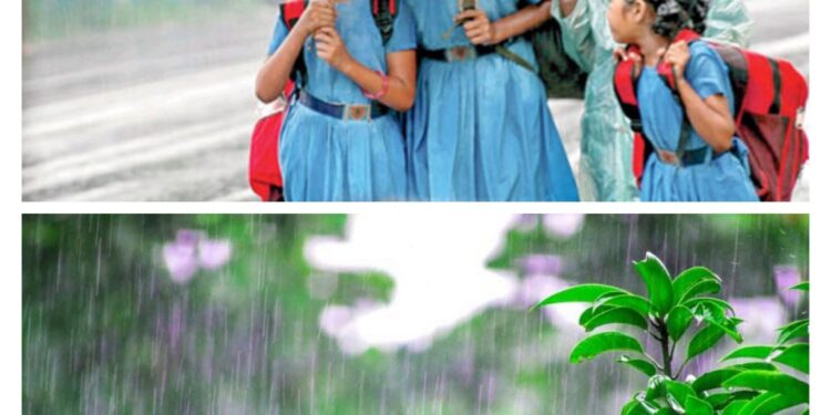 उत्तराखंड में आज भारी बारिश का रेड अलर्ट, तीन जिलों में स्कूलों की छुट्टी के आदेश