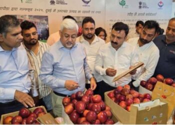 उत्तराखंड के सेब  दुबई में बिकेंगे, देहरादून से दुबई भेजा गया 1.2 मीट्रिक टन सेब