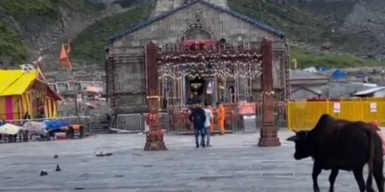 केदारनाथ और मध्यमहेश्वर यात्रा 48 घंटे के लिए स्थगित, भारी बारिश और मौसम अलर्ट के चलते निर्णय