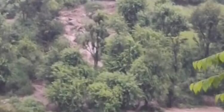 टिहरी-बारिश और बादल फटने से तबाही, बूढ़ा केदार और गेंवाली में भारी नुकसान