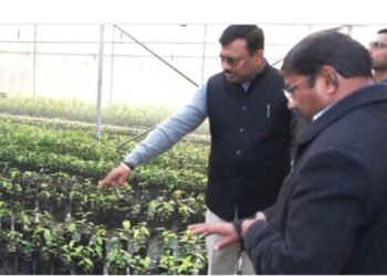 मुख्य सचिव आनन्द बर्द्धन ने सेलाकुई में स्थित सगन्ध पौधा केन्द्र का किया भ्रमण