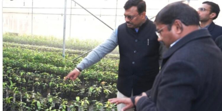 मुख्य सचिव आनन्द बर्द्धन ने सेलाकुई में स्थित सगन्ध पौधा केन्द्र का किया भ्रमण