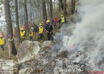 वनाग्नि से निपटने को तैयार उत्तराखंड: प्रदेश के 41 वन प्रभागों में हुआ ‘मॉक ड्रिल’, रिस्पॉन्स टाइम और तालमेल का परीक्षण