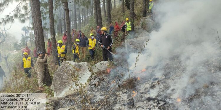 वनाग्नि से निपटने को तैयार उत्तराखंड: प्रदेश के 41 वन प्रभागों में हुआ ‘मॉक ड्रिल’, रिस्पॉन्स टाइम और तालमेल का परीक्षण