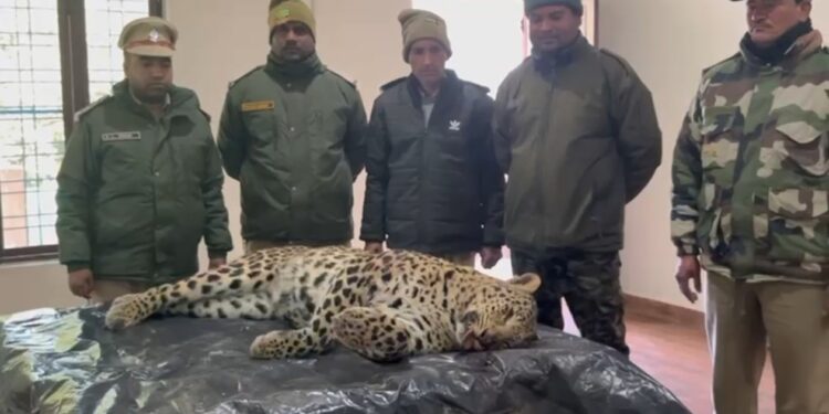 पौड़ी के बाड़ा गांव में आदमखोर गुलदार ढेर, मशहूर शिकारी जॉय हुकिल व वन विभाग की संयुक्त कार्रवाई