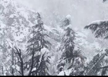 उत्तराखंड में कुदरत का कहर: भारी बर्फबारी से गंगोत्री हाईवे बंद, बदरीनाथ धाम में बिछी 2 फीट मोटी सफेद चादर