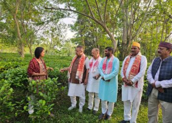 असम के चाय बागानों में पहुंचे कृषि मंत्री गणेश जोशी, उत्तराखंड में चाय उत्पादन बढ़ाने के लिए परखी तकनीक