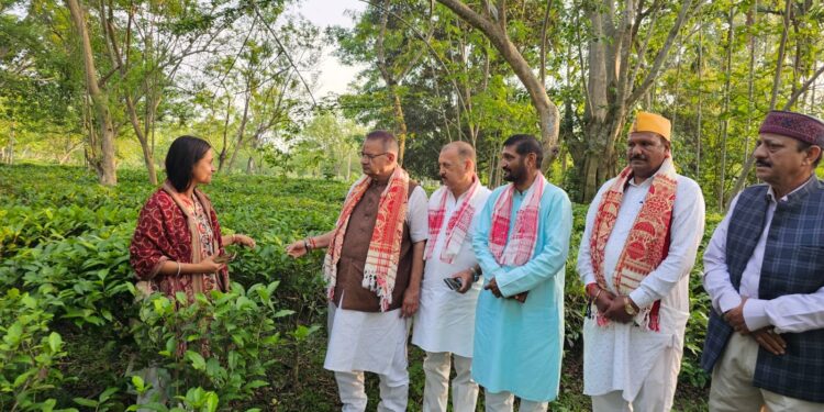 असम के चाय बागानों में पहुंचे कृषि मंत्री गणेश जोशी, उत्तराखंड में चाय उत्पादन बढ़ाने के लिए परखी तकनीक